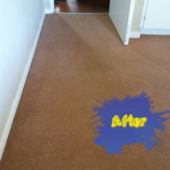 Carpet cleaning 2