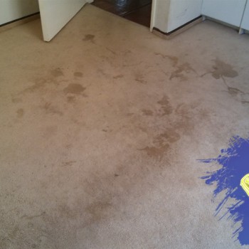 Carpet cleaning 3