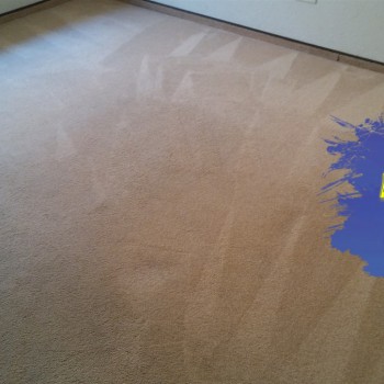 Carpet cleaning 4