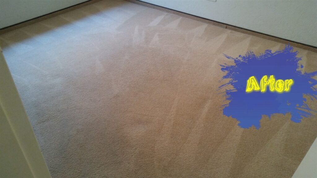 Carpet-cleaning-4